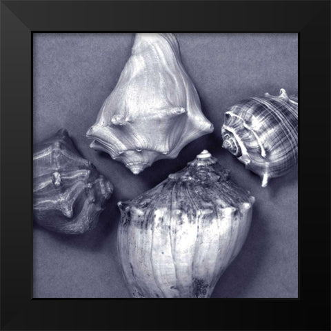 Shell Convergence V Black Modern Wood Framed Art Print by Stramel, Renee W.