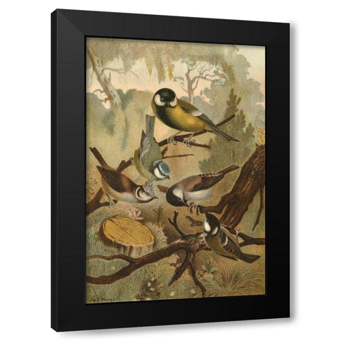 Titmice Black Modern Wood Framed Art Print by unknown