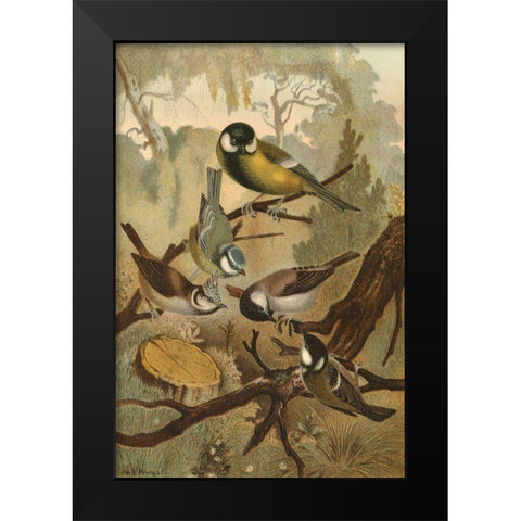 Titmice Black Modern Wood Framed Art Print by unknown