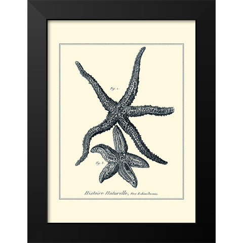 Indigo Starfish I Black Modern Wood Framed Art Print by Diderot, Denis
