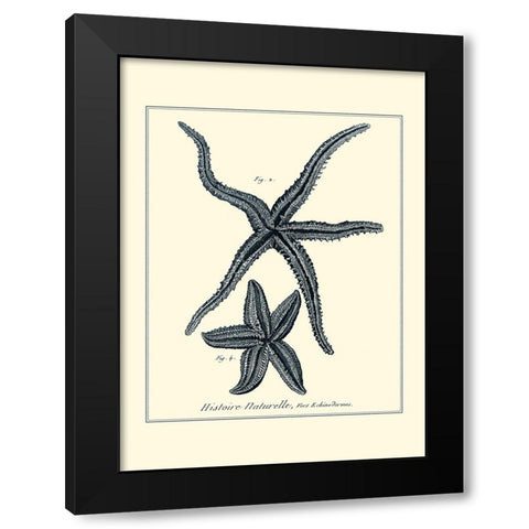 Indigo Starfish II Black Modern Wood Framed Art Print by Diderot, Denis