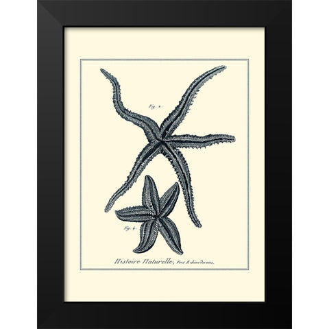 Indigo Starfish II Black Modern Wood Framed Art Print by Diderot, Denis