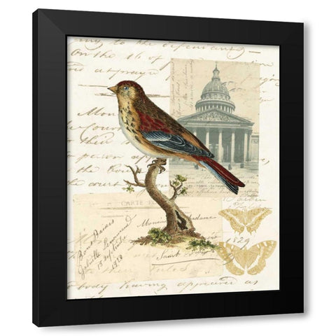 Naturalists Collage I Black Modern Wood Framed Art Print by Vision Studio