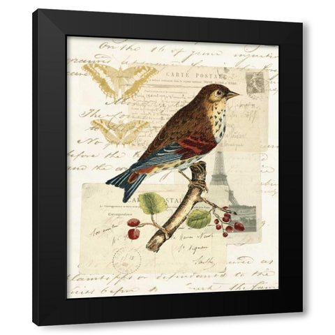 Naturalists Collage II Black Modern Wood Framed Art Print with Double Matting by Vision Studio