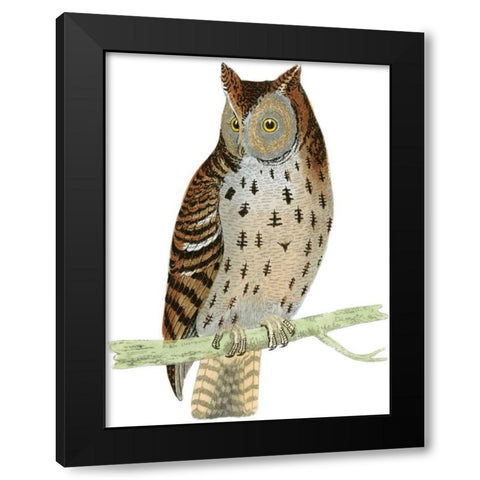 Morris Mottled Owl Black Modern Wood Framed Art Print with Double Matting by Morris
