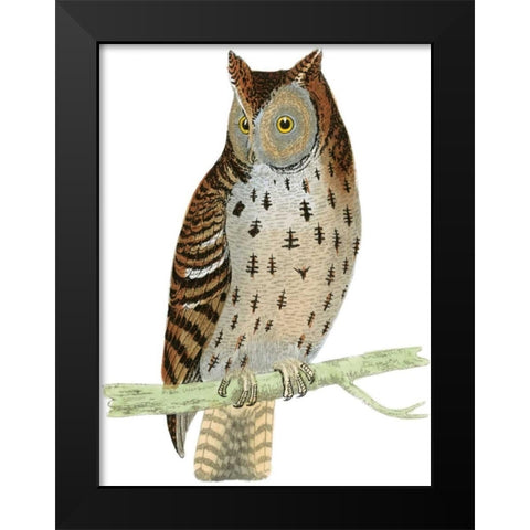 Morris Mottled Owl Black Modern Wood Framed Art Print by Morris