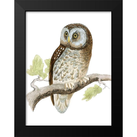 Morris Tengmalms Owl Black Modern Wood Framed Art Print by Morris