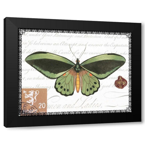 Butterfly Prose II Black Modern Wood Framed Art Print with Double Matting by Vision Studio