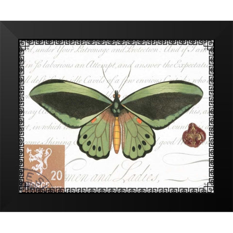 Butterfly Prose II Black Modern Wood Framed Art Print by Vision Studio