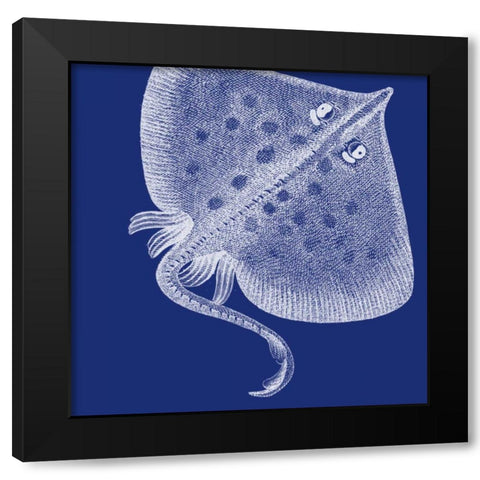 Saturated Sea Life III Black Modern Wood Framed Art Print with Double Matting by Vision Studio