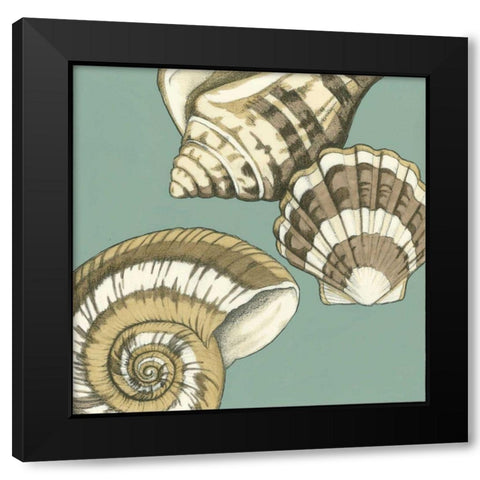 Small Shell Trio on Blue II Black Modern Wood Framed Art Print with Double Matting by Meagher, Megan
