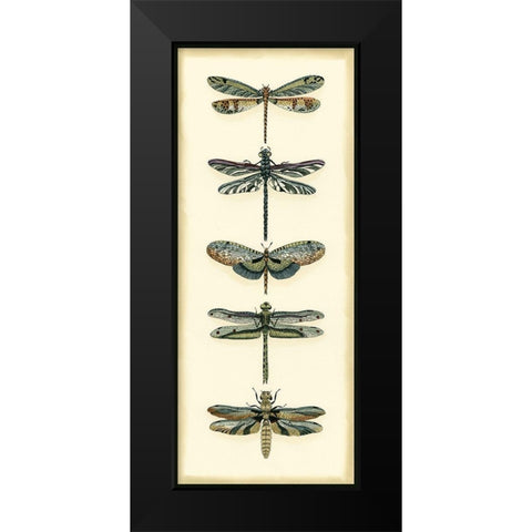 Small Dragonfly Collector II Black Modern Wood Framed Art Print by Zarris, Chariklia