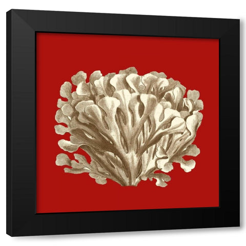 Small Coral on Red III Black Modern Wood Framed Art Print by Vision Studio