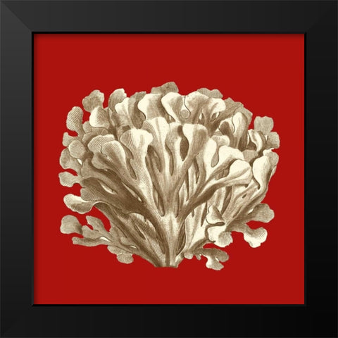 Small Coral on Red III Black Modern Wood Framed Art Print by Vision Studio
