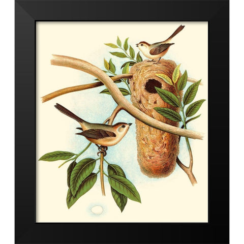 Feathering Nest I Black Modern Wood Framed Art Print by Unknown