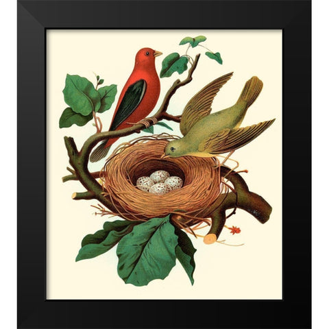 Feathering Nest II Black Modern Wood Framed Art Print by Unknown