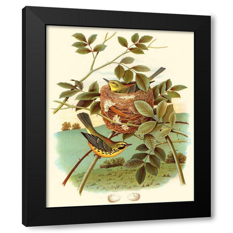 Feathering Nest IV Black Modern Wood Framed Art Print by Unknown