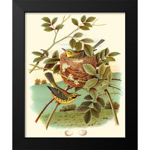 Feathering Nest IV Black Modern Wood Framed Art Print by Unknown