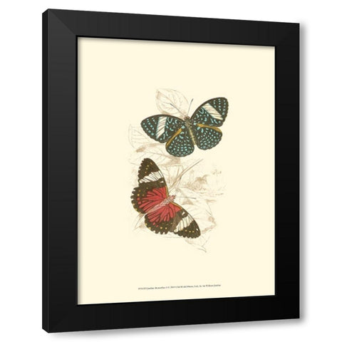 Jardine Butterflies I Black Modern Wood Framed Art Print with Double Matting by Jardine, Sir William