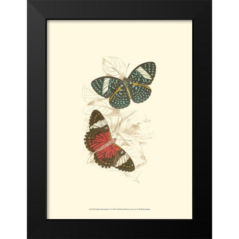Jardine Butterflies I Black Modern Wood Framed Art Print by Jardine, Sir William