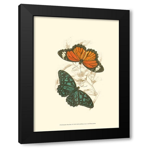 Jardine Butterflies II Black Modern Wood Framed Art Print by Jardine, Sir William