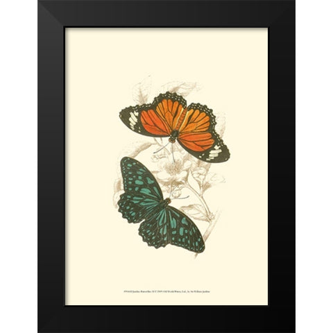 Jardine Butterflies II Black Modern Wood Framed Art Print by Jardine, Sir William