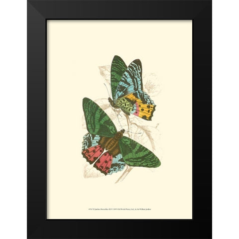Jardine Butterflies III Black Modern Wood Framed Art Print by Jardine, Sir William