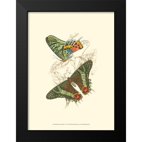 Jardine Butterflies IV Black Modern Wood Framed Art Print by Jardine, Sir William