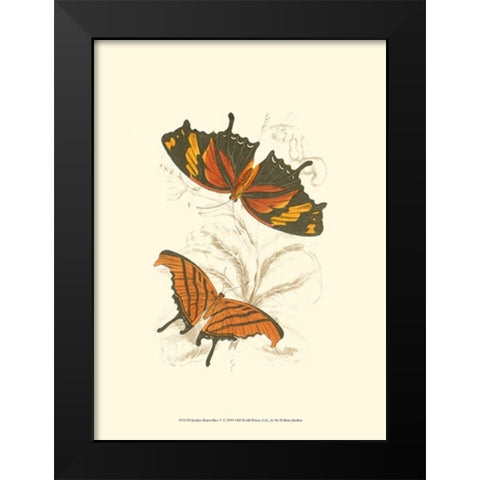 Jardine Butterflies V Black Modern Wood Framed Art Print by Jardine, Sir William