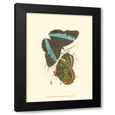 Jardine Butterflies VI Black Modern Wood Framed Art Print by Jardine, Sir William