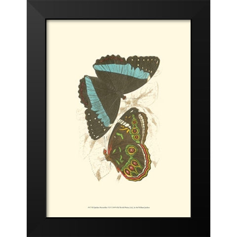 Jardine Butterflies VI Black Modern Wood Framed Art Print by Jardine, Sir William