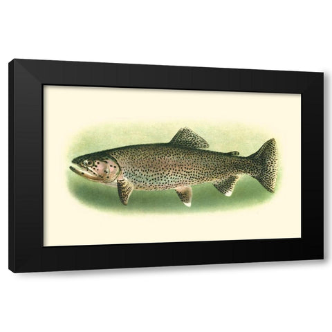 River Trout I Black Modern Wood Framed Art Print by Unknown