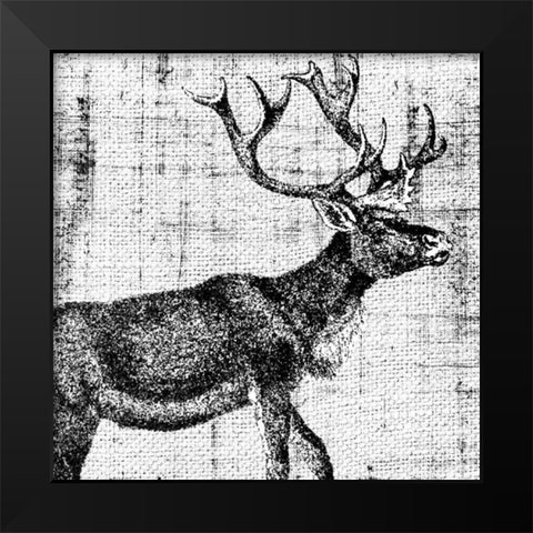 Northwest Territory III Black Modern Wood Framed Art Print by Vision Studio