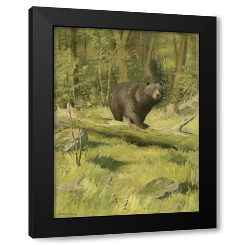 Black Bear Black Modern Wood Framed Art Print by Kemp, Oliver