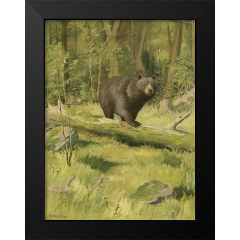 Black Bear Black Modern Wood Framed Art Print by Kemp, Oliver