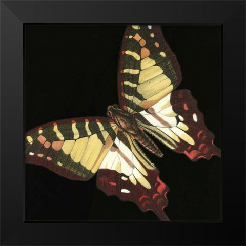 Small Dramatic Butterflies III Black Modern Wood Framed Art Print by Vision Studio