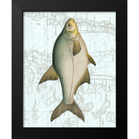 Freshwater I Black Modern Wood Framed Art Print by Vision Studio
