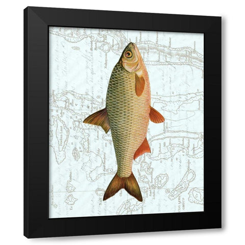 Freshwater III Black Modern Wood Framed Art Print with Double Matting by Vision Studio