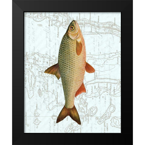 Freshwater III Black Modern Wood Framed Art Print by Vision Studio