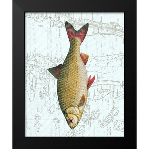 Freshwater IV Black Modern Wood Framed Art Print by Vision Studio