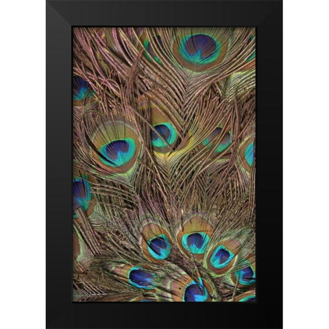 Peacock Feathers III Black Modern Wood Framed Art Print by Vision Studio