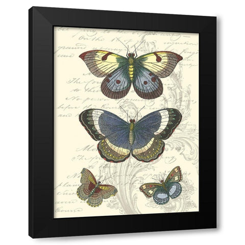 Butterfly Delight I Black Modern Wood Framed Art Print with Double Matting by Vision Studio