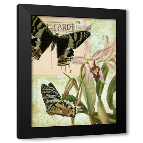 Natures Tapestry IV Black Modern Wood Framed Art Print with Double Matting by Vision Studio