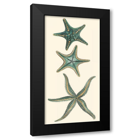 Aquamarine Starfish I Black Modern Wood Framed Art Print with Double Matting by Vision Studio