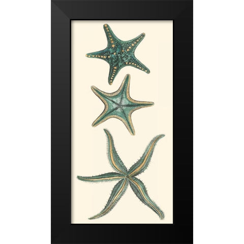 Aquamarine Starfish I Black Modern Wood Framed Art Print by Vision Studio