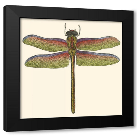Miniature Dragonfly III Black Modern Wood Framed Art Print by Vision Studio