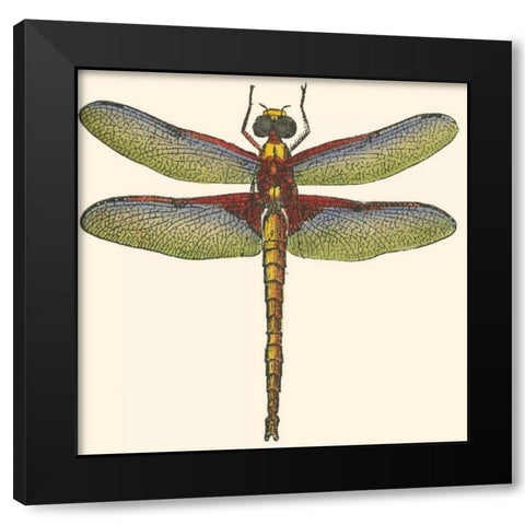 Miniature Dragonfly IV Black Modern Wood Framed Art Print with Double Matting by Vision Studio