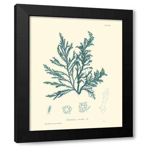 Nature Print in Aqua I Black Modern Wood Framed Art Print by Vision Studio