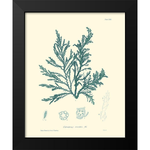 Nature Print in Aqua I Black Modern Wood Framed Art Print by Vision Studio