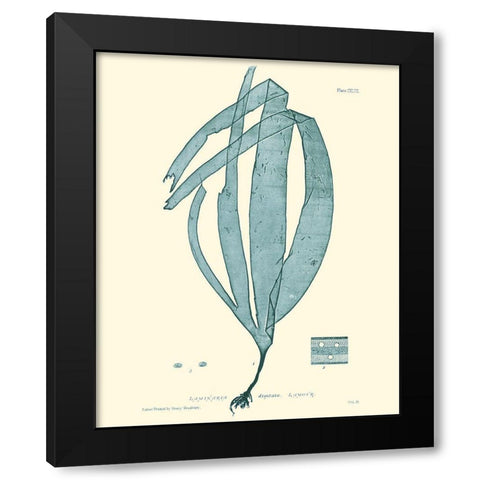 Nature Print in Aqua II Black Modern Wood Framed Art Print by Vision Studio